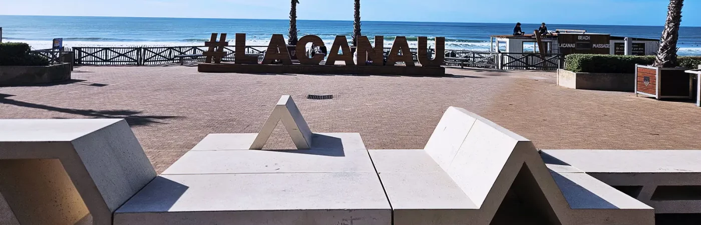 #Lacanau , jamais comme ailleurs, sculpture en bois situées sur le front de mer au dessus de la plage centrale 2 palmiers derrière la structure, l'océan avec des couleurs qui vont du turquoise au bleu profond, un ciel bleu lumineux.