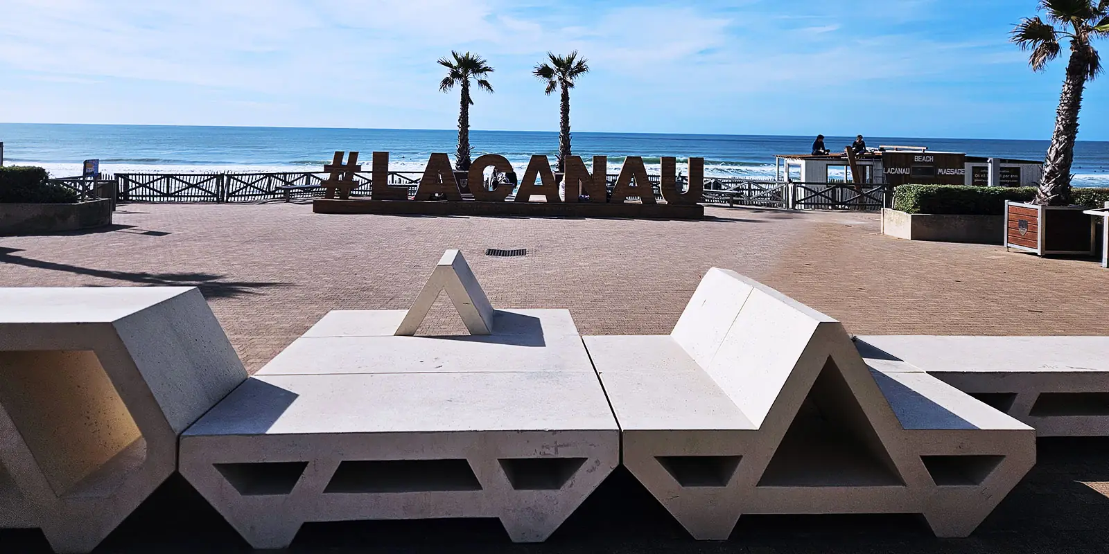 #Lacanau , jamais comme ailleurs, sculpture en bois situées sur le front de mer au dessus de la plage centrale 2 palmiers derrière la structure, l'océan avec des couleurs qui vont du turquoise au bleu profond, un ciel bleu lumineux.