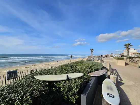 3 planches de surf au premier plan sont posées sur la haie végétale et sur un banc, le tout situé en front de mer, plage océan Lacanau. En arrière plan on aperçoit des palmiers ainsi qu'un parking sur la droite (vue plage nord).