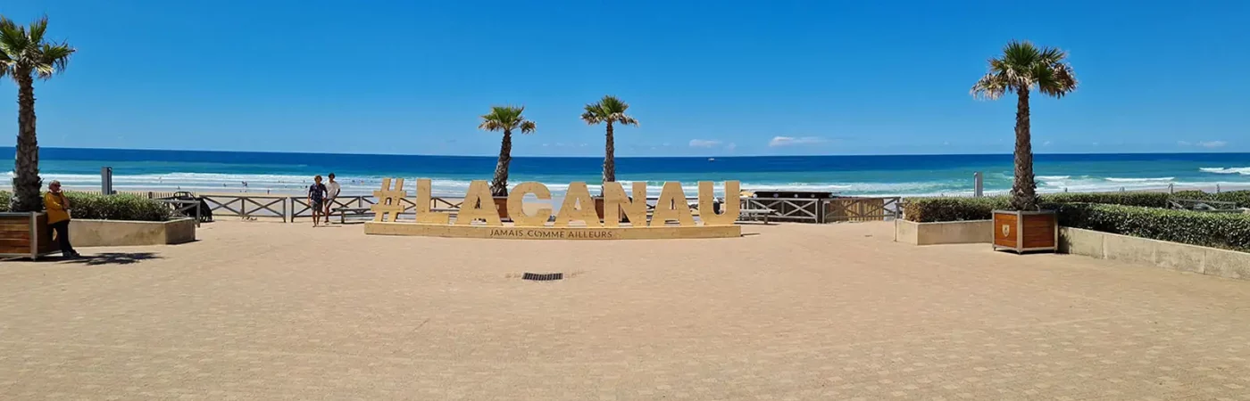 La résidence à #Lacanau , jamais comme ailleurs, sculpture en bois situées sur le front de mer au dessus de la plage centrale 2 palmiers derrière la structure, l'océan avec des couleurs qui vont du turquoise au bleu profond, un ciel bleu lumineux.