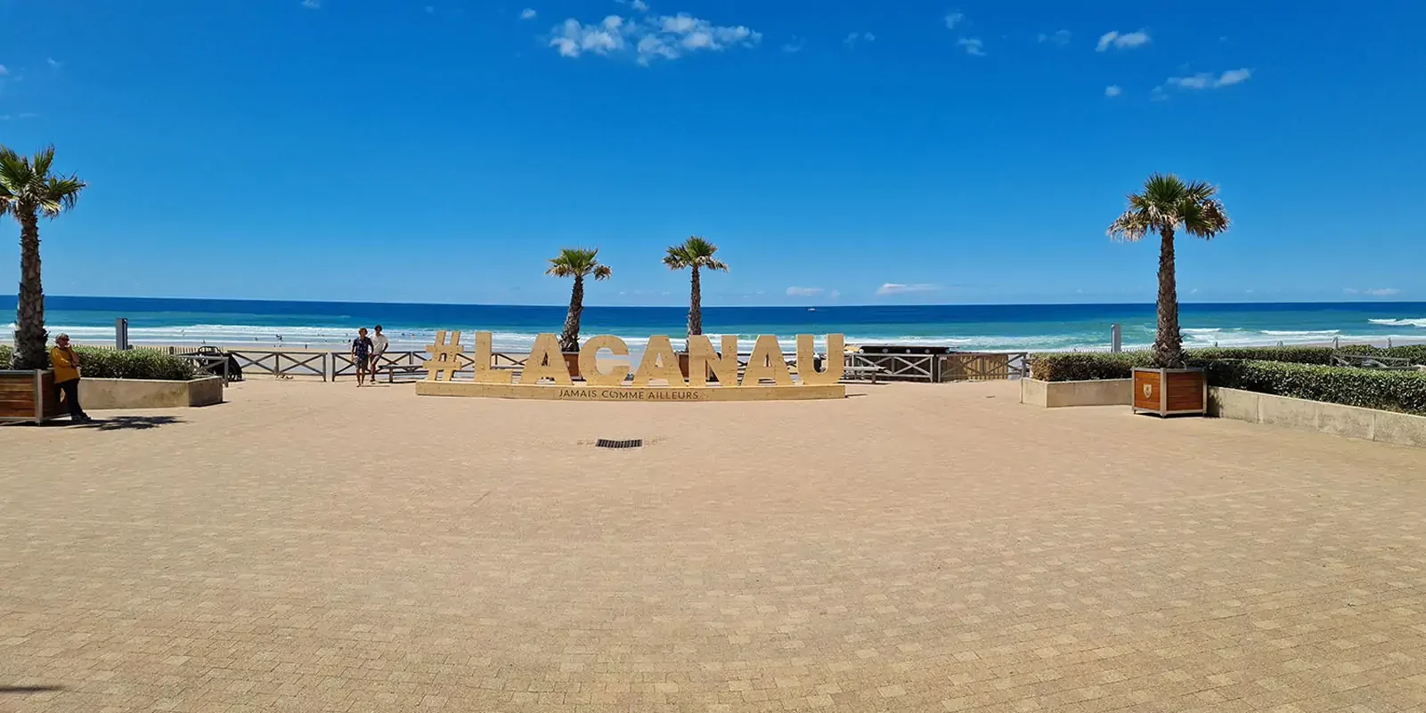 La résidence à #Lacanau , jamais comme ailleurs, sculpture en bois situées sur le front de mer au dessus de la plage centrale 2 palmiers derrière la structure, l'océan avec des couleurs qui vont du turquoise au bleu profond, un ciel bleu lumineux.
