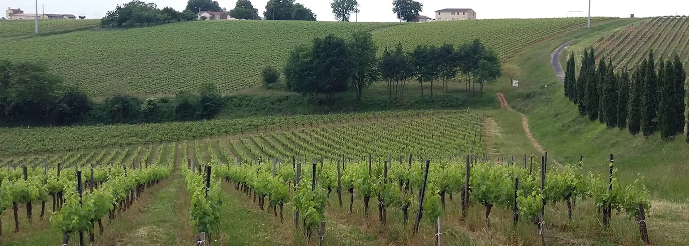 Les activités et loisirs autour de Lacanau. Vignoble bordelais