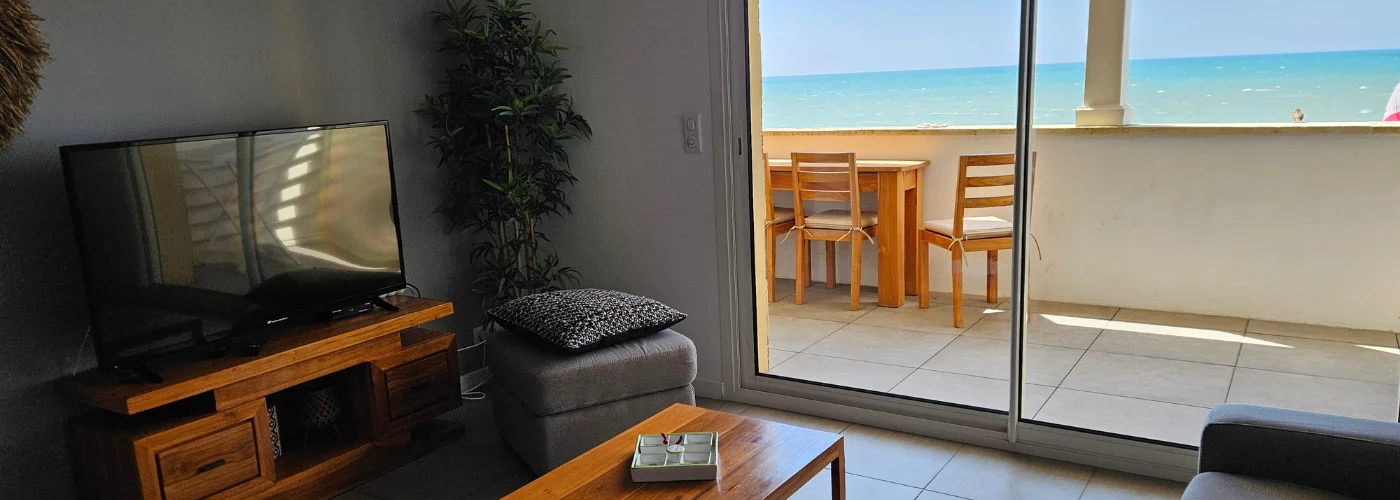 appart hôtel Pasino n°3, pièce principale, au premier plan, le coins salon son palmier et sa TV grand écran., son canapé convertible. la pièce donne directement sur la terrasse vue mer. Un petit moineau est sur le rebord de la terrasse