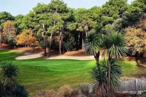 Les activités et loisirs autour de Lacanau. Parcours du golf de L'Ardilouse, à l'avant de la végétation type tropical. Au centre le fairway et à l'arrière deux bunkers bordés de pins maritime