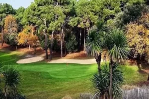 Vue du golf de L'Ardilouse Les activités et loisirs autour de Lacanau. Parcours du golf de L'Ardilouse, à l'avant de la végétation type tropical. Au centre le fairway et à l'arrière deux bunkers bordés de pins maritime