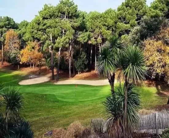 Vue du golf de L'Ardilouse Les activités et loisirs autour de Lacanau. Parcours du golf de L'Ardilouse, à l'avant de la végétation type tropical. Au centre le fairway et à l'arrière deux bunkers bordés de pins maritime
