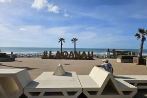 #Lacanau , jamais comme ailleurs, sculpture en bois situées sur le front de mer au dessus de la plage centrale 2 palmiers derrière la structure, l'océan avec des couleurs qui vont du turquoise au bleu profond, un ciel bleu lumineux.