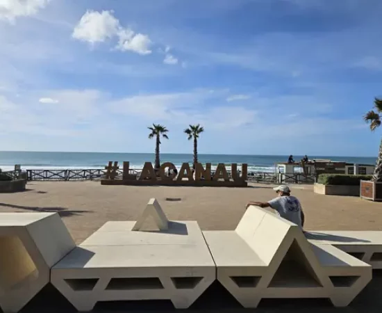 Lacanau , jamais comme ailleurs, sculpture en bois situées sur le front de mer au dessus de la plage centrale 2 palmiers derrière la structure, l'océan avec des couleurs qui vont du turquoise au bleu profond, un ciel bleu lumineux.