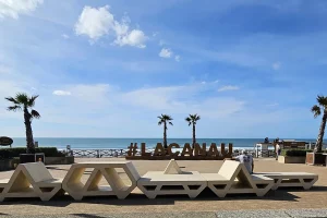 #Lacanau , jamais comme ailleurs, sculpture en bois situées sur le front de mer au dessus de la plage centrale 2 palmiers derrière la structure, l'océan avec des couleurs qui vont du turquoise au bleu profond, un ciel bleu lumineux.
