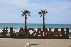 #Lacanau , jamais comme ailleurs, sculpture en bois situées sur le front de mer au dessus de la plage centrale 2 palmiers derrière la structure, l'océan avec des couleurs qui vont du turquoise au bleu profond, un ciel bleu lumineux.