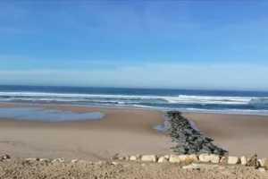 plage centrale de Lacanau océan